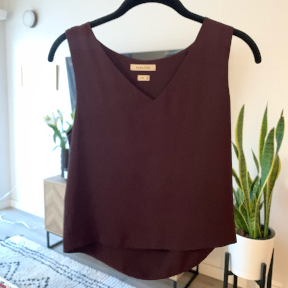 Aritzia Babaton
Murphy Blouse